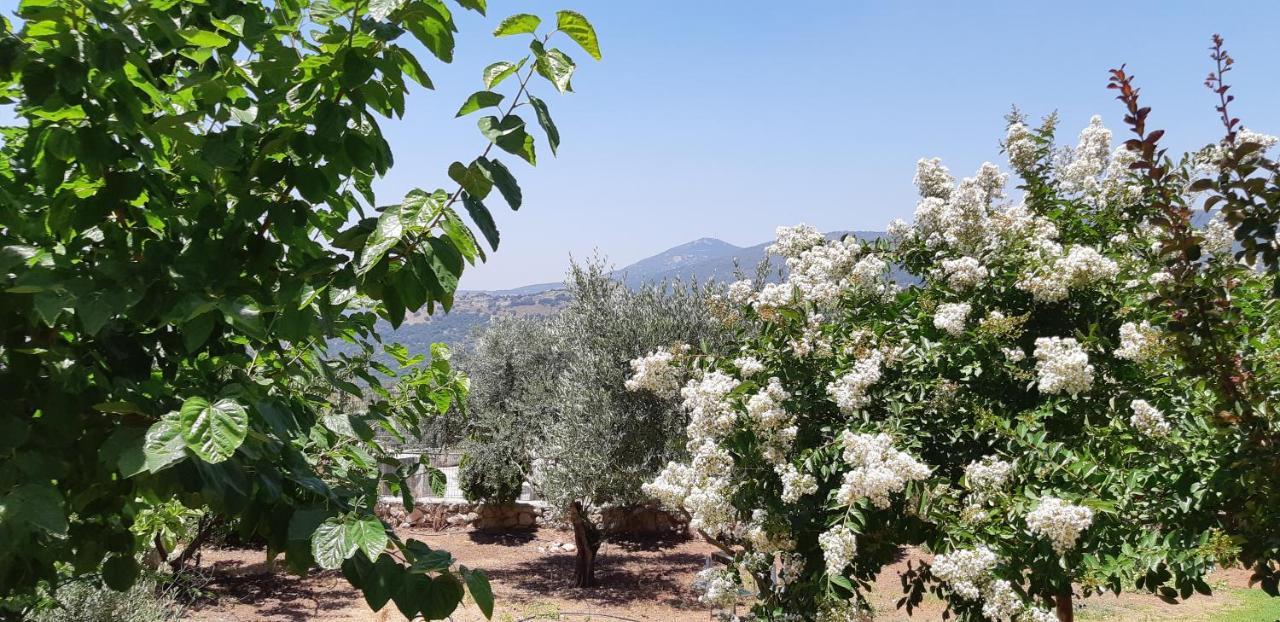 Bed and Breakfast Sanabl Druze Hospitality Ein Kinya Exteriér fotografie