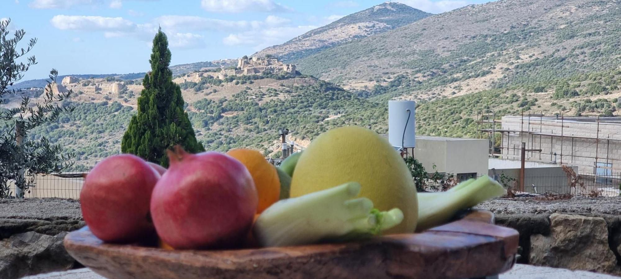 Bed and Breakfast Sanabl Druze Hospitality Ein Kinya Exteriér fotografie